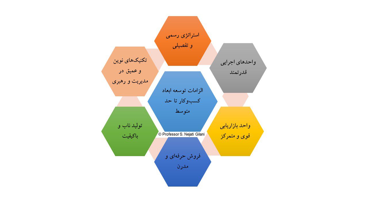 استراتژی کارآفرینان برای کسب‌وکار متوسط