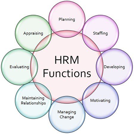 عملیات مدیریت منابع انسانی - شرکت نجات