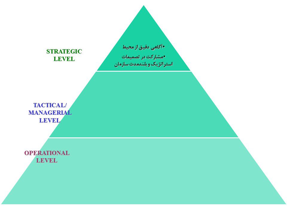 نقشهای واحد مدیریت منابع انسانی شرکت نجات