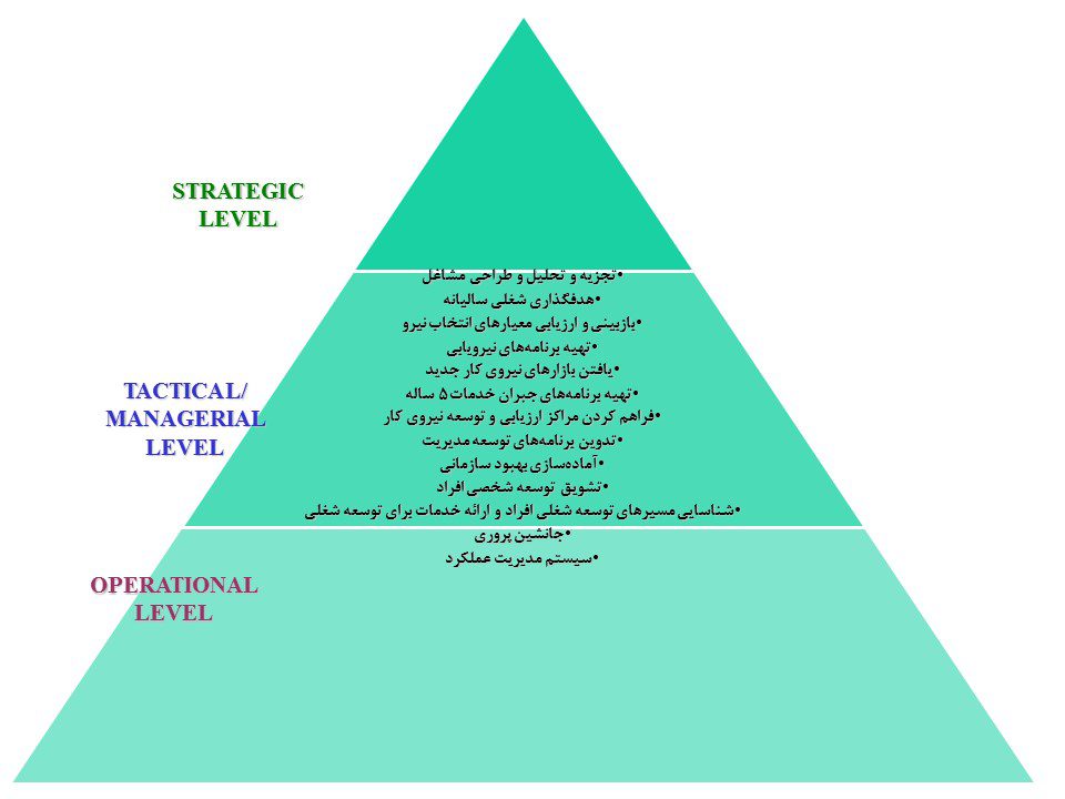 نقشهای واحد مدیریت منابع انسانی
