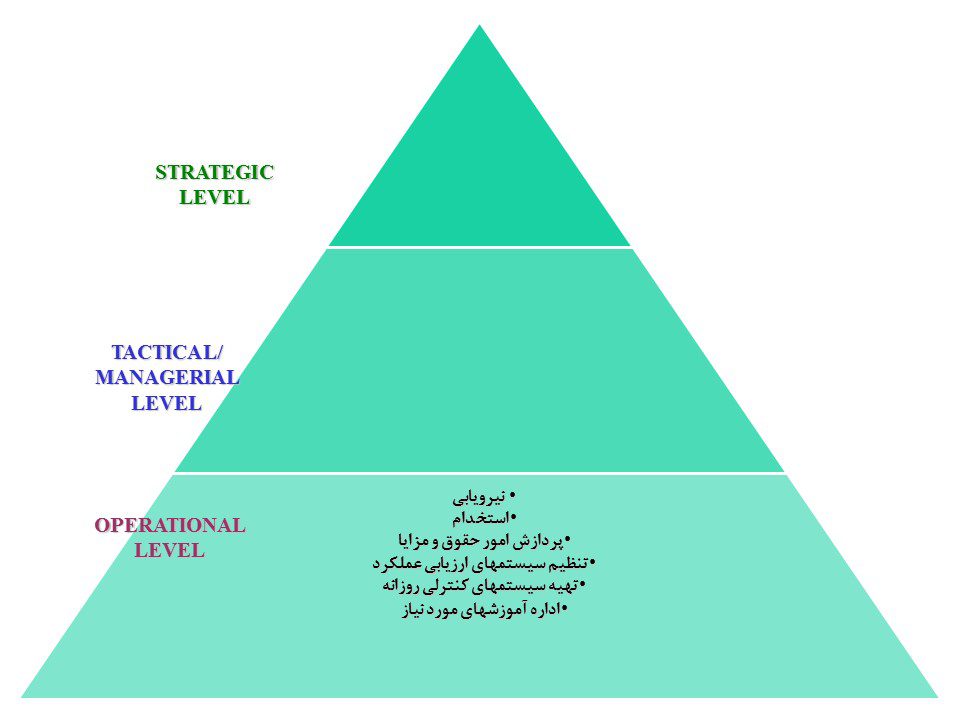 نقشهای واحد مدیریت منابع انسانی