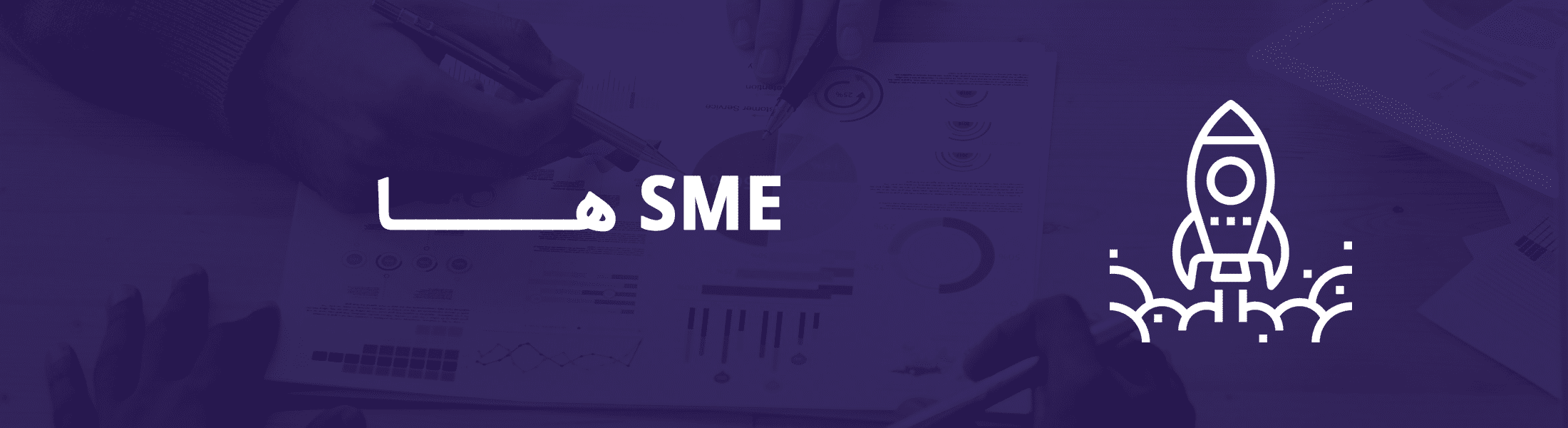 شرکت های کوچک و متوسط - مشاوره کسب و کار نجات